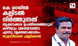 കെ റെയില്‍: കല്ലിടല്‍ നിര്‍ത്തുന്നത് തൃക്കാക്കര ഉപതിരഞ്ഞെടുപ്പ് കഴിയും വരെയാണോ എന്നു വ്യക്തമാക്കണമെന്ന് തുളസീധരന്‍ പള്ളിക്കല്‍