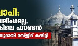 ഗ്യാന്വാപി: അത് ശിവലിംഗമല്ല, വുദു ടാങ്കിലെ ഫൗണ്ടന്; വിശദീകരണവുമായി മസ്ജിദ് കമ്മിറ്റി ഗ്യാന്വാപി: അത് ശിവലിംഗമല്ല, വുദു ടാങ്കിലെ ഫൗണ്ടന്; വിശദീകരണവുമായി മസ്ജിദ് കമ്മിറ്റി