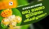 മാമ്പഴക്കാലമല്ലേ;ഒരു മാങ്ങാ ഇടിയപ്പം പരീക്ഷിച്ചാലോ?
