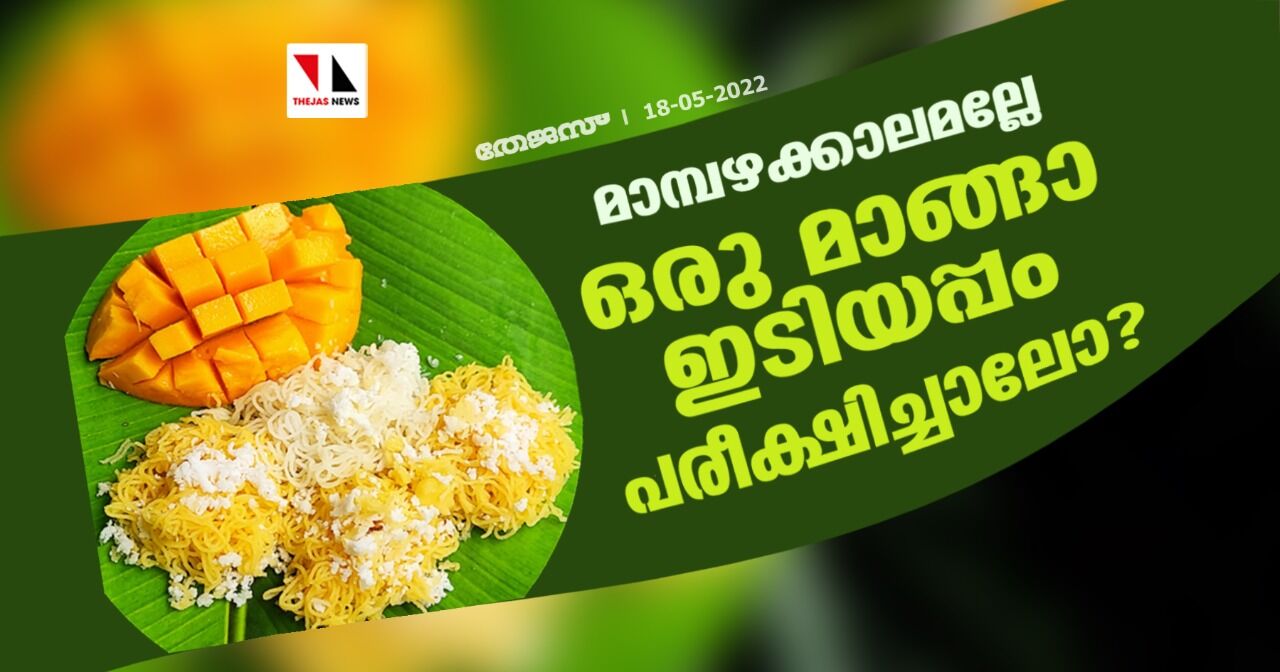 മാമ്പഴക്കാലമല്ലേ;ഒരു മാങ്ങാ ഇടിയപ്പം പരീക്ഷിച്ചാലോ? മാമ്പഴക്കാലമല്ലേ;ഒരു മാങ്ങാ ഇടിയപ്പം പരീക്ഷിച്ചാലോ?