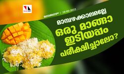 മാമ്പഴക്കാലമല്ലേ;ഒരു മാങ്ങാ ഇടിയപ്പം പരീക്ഷിച്ചാലോ? മാമ്പഴക്കാലമല്ലേ;ഒരു മാങ്ങാ ഇടിയപ്പം പരീക്ഷിച്ചാലോ?