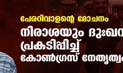 പേരറിവാളന്റെ മോചനം: നിരാശയും ദുഃഖവും പ്രകടിപ്പിച്ച് കോണ്‍ഗ്രസ് നേതൃത്വം
