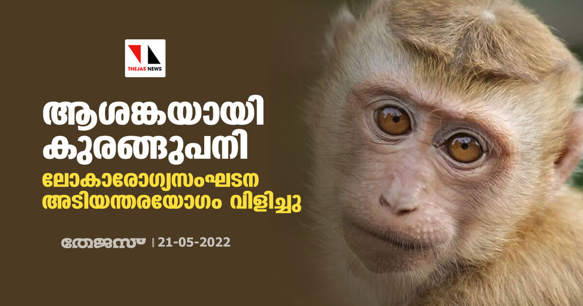 ആശങ്കയായി കുരങ്ങുപനി; ലോകാരോഗ്യസംഘടന അടിയന്തരയോഗം വിളിച്ചു ആശങ്കയായി കുരങ്ങുപനി; ലോകാരോഗ്യസംഘടന അടിയന്തരയോഗം വിളിച്ചു