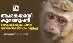 ആശങ്കയായി കുരങ്ങുപനി; ലോകാരോഗ്യസംഘടന അടിയന്തരയോഗം വിളിച്ചു ആശങ്കയായി കുരങ്ങുപനി; ലോകാരോഗ്യസംഘടന അടിയന്തരയോഗം വിളിച്ചു