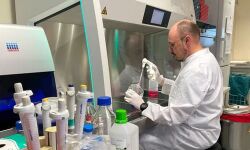 കുരങ്ങുപനി: ലോകത്ത് 12 രാജ്യങ്ങളിലായി 80 പേര്‍ക്ക് രോഗബാധ