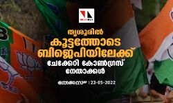 തൃശൂരില് കൂട്ടത്തോടെ ബിജെപിയിലേക്ക് ചേക്കേറി കോണ്ഗ്രസ് നേതാക്കള് തൃശൂരില് കൂട്ടത്തോടെ ബിജെപിയിലേക്ക് ചേക്കേറി കോണ്ഗ്രസ് നേതാക്കള്