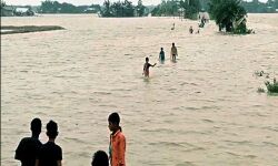 เด
เดธเดฎเดฟเดฒเตโ เดชเตเดฐเดณเดฏเดฌเดพเดงเดฟเดคเดฐเตเดเต เดเดฃเตเดฃเด 7.19 เดฒเดเตเดทเดฎเดพเดฏเดฟ; เดเดเต เดฎเดฐเดฃเด 24 เด
เดธเดฎเดฟเดฒเตโ เดชเตเดฐเดณเดฏเดฌเดพเดงเดฟเดคเดฐเตเดเต เดเดฃเตเดฃเด 7.19 เดฒเดเตเดทเดฎเดพเดฏเดฟ; เดเดเต เดฎเดฐเดฃเด 24