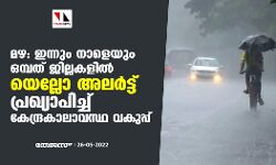 മഴ : ഇന്നും നാളെയും ഒമ്പത് ജില്ലകളില്‍ യെല്ലോ അലര്‍ട്ട് പ്രഖ്യാപിച്ച് കേന്ദ്രകാലാവസ്ഥ വകുപ്പ്