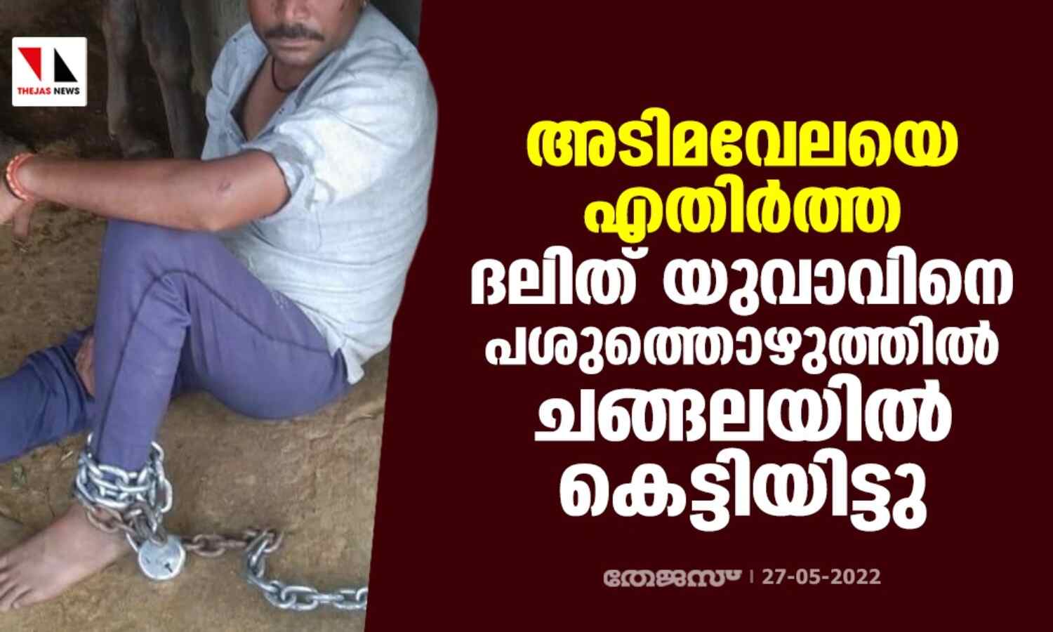 അടിമവേലയെ എതിര്ത്ത ദലിത് യുവാവിനെ പശുത്തൊഴുത്തില് ചങ്ങലയില് കെട്ടിയിട്ടു അടിമവേലയെ എതിര്ത്ത ദലിത് യുവാവിനെ പശുത്തൊഴുത്തില് ചങ്ങലയില് കെട്ടിയിട്ടു