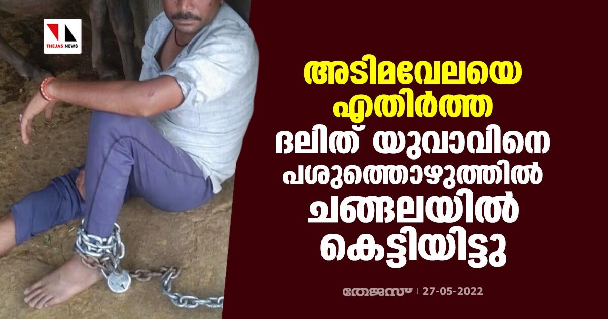 അടിമവേലയെ എതിര്ത്ത ദലിത് യുവാവിനെ പശുത്തൊഴുത്തില് ചങ്ങലയില് കെട്ടിയിട്ടു അടിമവേലയെ എതിര്ത്ത ദലിത് യുവാവിനെ പശുത്തൊഴുത്തില് ചങ്ങലയില് കെട്ടിയിട്ടു