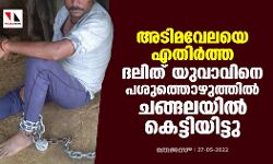അടിമവേലയെ എതിര്‍ത്ത ദലിത് യുവാവിനെ പശുത്തൊഴുത്തില്‍ ചങ്ങലയില്‍ കെട്ടിയിട്ടു