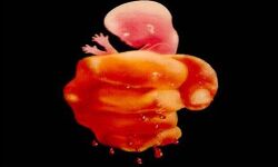 เด
เดจเตเดคเดฐเตโเดธเดเดธเตเดฅเดพเดจ เดชเตเดฃเตโ เดญเตเดฐเตเดฃเดนเดคเตเดฏเดพ เดฑเดพเดเตเดเดฑเตเดฑเต;เดเดกเดฟเดทเดฏเดฟเดฒเตโ เดเดถเดพ เดตเดฐเตโเดเตเดเดฐเตโ เด
เดเดเตเดเด 13 เดชเตเดฐเตโ เดชเดฟเดเดฟเดฏเดฟเดฒเตโ เด
เดจเตเดคเดฐเตโเดธเดเดธเตเดฅเดพเดจ เดชเตเดฃเตโ เดญเตเดฐเตเดฃเดนเดคเตเดฏเดพ เดฑเดพเดเตเดเดฑเตเดฑเต;เดเดกเดฟเดทเดฏเดฟเดฒเตโ เดเดถเดพ เดตเดฐเตโเดเตเดเดฐเตโ เด
เดเดเตเดเด 13 เดชเตเดฐเตโ เดชเดฟเดเดฟเดฏเดฟเดฒเตโ