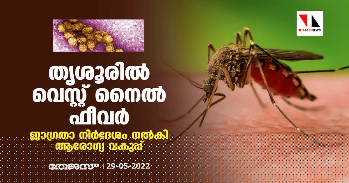 തൃശൂരില്‍ വെസ്റ്റ് നൈല്‍ ഫീവര്‍;ജാഗ്രതാ നിര്‍ദേശം നല്‍കി ആരോഗ്യ വകുപ്പ്