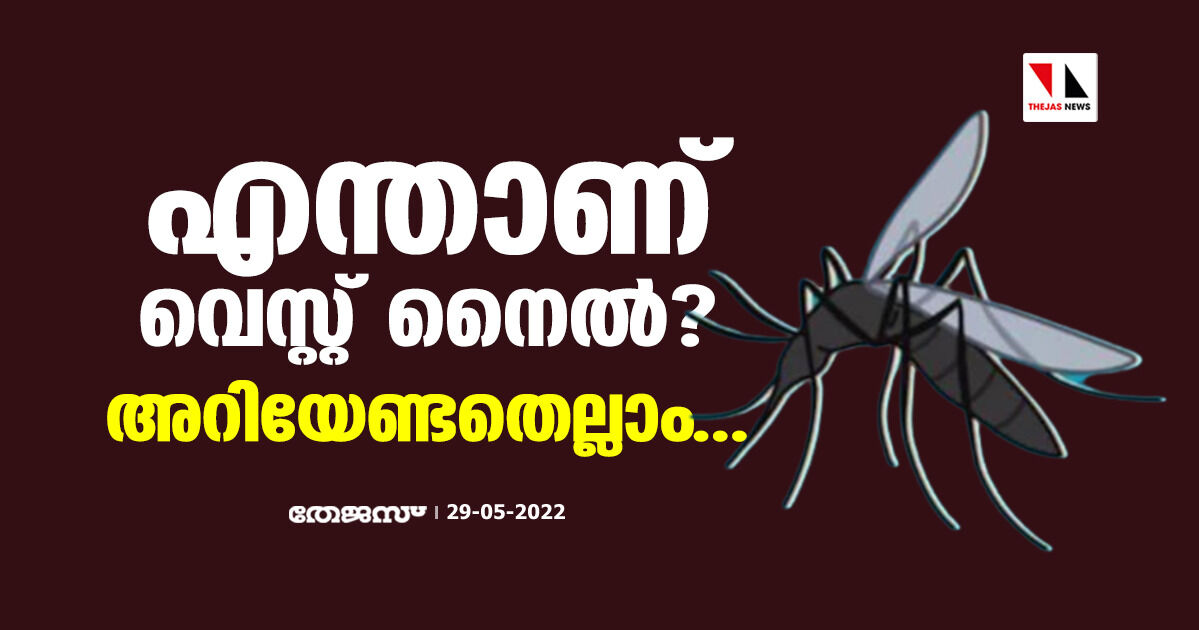 എന്താണ് വെസ്റ്റ് നൈല് ഫീവര് ? അറിയേണ്ടതെല്ലാം... എന്താണ് വെസ്റ്റ് നൈല് ഫീവര് ? അറിയേണ്ടതെല്ലാം...