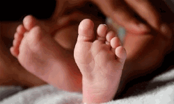 അട്ടപ്പാടിയില്‍ വീണ്ടും ശിശുമരണം; ഡിസ്ചാര്‍ജ് ചെയ്ത് വീട്ടിലേക്ക് മടങ്ങവേ കുഞ്ഞ് മരിച്ചു