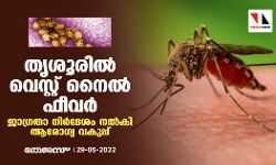തൃശൂരില് വെസ്റ്റ് നൈല് ഫീവര്;ജാഗ്രതാ നിര്ദേശം നല്കി ആരോഗ്യ വകുപ്പ് തൃശൂരില് വെസ്റ്റ് നൈല് ഫീവര്;ജാഗ്രതാ നിര്ദേശം നല്കി ആരോഗ്യ വകുപ്പ്