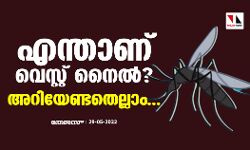 എന്താണ് വെസ്റ്റ് നൈല്‍ ഫീവര്‍ ? അറിയേണ്ടതെല്ലാം...