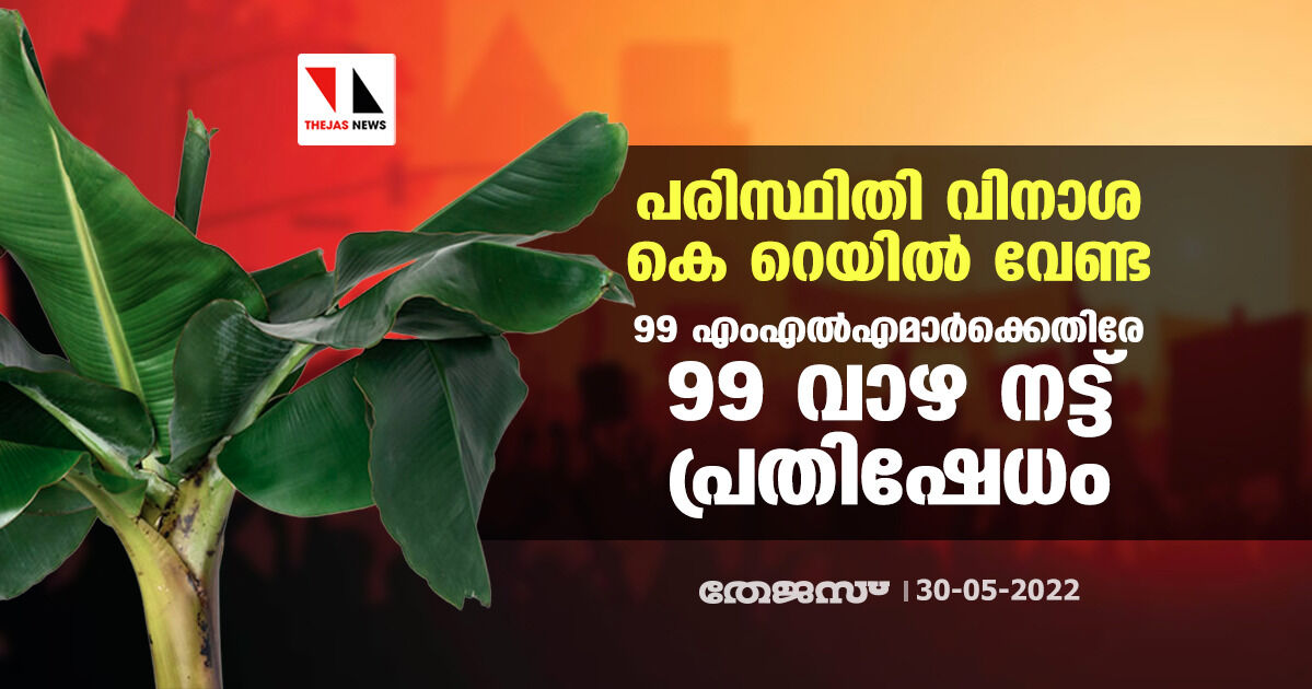 പരിസ്ഥിതി വിനാശ കെ റെയിൽ വേണ്ട; 99 എംഎൽഎമാർക്കെതിരേ 99 വാഴ നട്ട് പ്രതിഷേധം പരിസ്ഥിതി വിനാശ കെ റെയിൽ വേണ്ട; 99 എംഎൽഎമാർക്കെതിരേ 99 വാഴ നട്ട് പ്രതിഷേധം