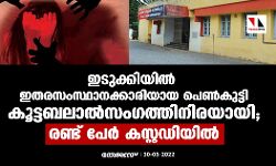 ഇടുക്കിയില് ഇതരസംസ്ഥാനക്കാരിയായ പെണ്കുട്ടി കൂട്ടബലാല്സംഗത്തിനിരയായി; രണ്ട് പേര് കസ്റ്റഡിയില് ഇടുക്കിയില് ഇതരസംസ്ഥാനക്കാരിയായ പെണ്കുട്ടി കൂട്ടബലാല്സംഗത്തിനിരയായി; രണ്ട് പേര് കസ്റ്റഡിയില്