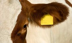 เดฎเดเตเด เดชเตเดฒเดพเดธเตเดฑเตเดฑเดฟเดเต เดเดพเดเดฟเดจเต เดชเดเดฐเด เดฎเตเดเตเดฐเตเดพ เดเดฟเดชเตเดชเต; เดฎเตเดเดเตเดเดณเตโเดเตเดเตเด เดเดจเดฟ เดคเดฟเดฐเดฟเดเตเดเดฑเดฟเดฏเดฒเตโ เดเดพเดฐเตโเดกเต เดฎเดเตเด เดชเตเดฒเดพเดธเตเดฑเตเดฑเดฟเดเต เดเดพเดเดฟเดจเต เดชเดเดฐเด เดฎเตเดเตเดฐเตเดพ เดเดฟเดชเตเดชเต; เดฎเตเดเดเตเดเดณเตโเดเตเดเตเด เดเดจเดฟ เดคเดฟเดฐเดฟเดเตเดเดฑเดฟเดฏเดฒเตโ เดเดพเดฐเตโเดกเต