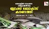 നേപ്പാളില്‍ തകര്‍ന്ന വിമാനത്തിന്റെ ബ്ലാക്ക് ബോക്‌സ് കണ്ടെത്തി