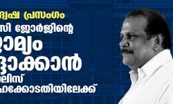 വിദ്വേഷ പ്രസംഗം: പി സി ജോര്‍ജിന്റെ ജാമ്യം റദ്ദാക്കാന്‍ പോലിസ് ഹൈക്കോടതിയിലേക്ക്