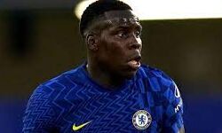 വളര്‍ത്തു പൂച്ചയെ ചവിട്ടിയെ സൗമയ്ക്ക് ശിക്ഷ