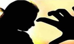 പത്തനംതിട്ടയില്‍ 85കാരിക്ക് നേരെ ലൈംഗികാതിക്രമം;ബന്ധു അറസ്റ്റില്‍