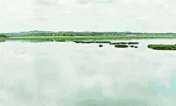 തമിഴ്‌നാട്ടില്‍ പുഴയില്‍ കുളിക്കാനിറങ്ങിയ ഏഴ് പെണ്‍കുട്ടികള്‍ മുങ്ങിമരിച്ചു