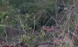 เดเดคเตเดคเดฐเดพเดเดฃเตเดกเดฟเดฒเตโ เดฌเดธเต เดเตเดเตเดเดฏเดฟเดฒเตเดเตเดเต เดฎเดฑเดฟเดเตเดเต 22 เดฎเดฐเดฃเด เดเดคเตเดคเดฐเดพเดเดฃเตเดกเดฟเดฒเตโ เดฌเดธเต เดเตเดเตเดเดฏเดฟเดฒเตเดเตเดเต เดฎเดฑเดฟเดเตเดเต 22 เดฎเดฐเดฃเด