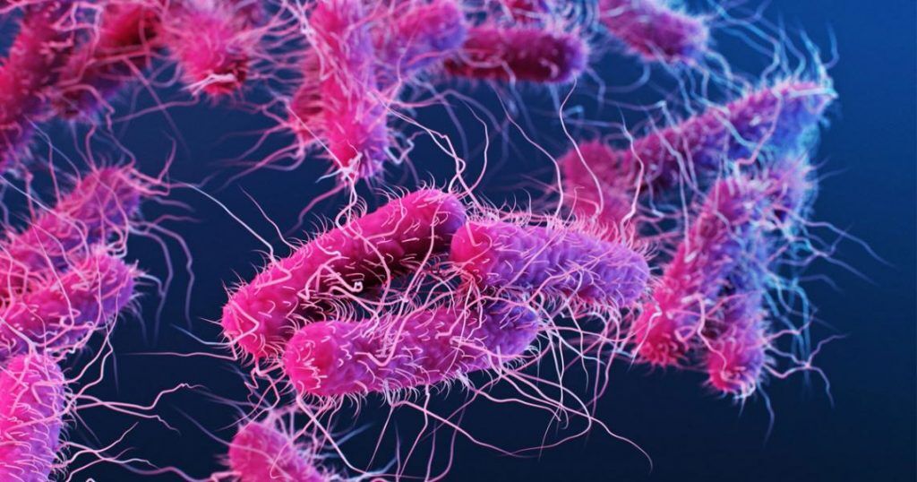 പാലക്കാട് ജില്ലയില്‍ രണ്ട് പേര്‍ക്ക് ഷിഗെല്ല സ്ഥിരീകരിച്ചു