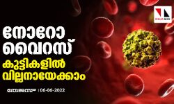 നോറോ വൈറസ്;കുട്ടികളില്‍ വില്ലനായേക്കാം