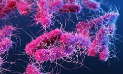 เดชเดพเดฒเดเตเดเดพเดเต เดเดฟเดฒเตเดฒเดฏเดฟเดฒเตโ เดฐเดฃเตเดเต เดชเตเดฐเตโเดเตเดเต เดทเดฟเดเตเดฒเตเดฒ เดธเตเดฅเดฟเดฐเตเดเดฐเดฟเดเตเดเต เดชเดพเดฒเดเตเดเดพเดเต เดเดฟเดฒเตเดฒเดฏเดฟเดฒเตโ เดฐเดฃเตเดเต เดชเตเดฐเตโเดเตเดเต เดทเดฟเดเตเดฒเตเดฒ เดธเตเดฅเดฟเดฐเตเดเดฐเดฟเดเตเดเต