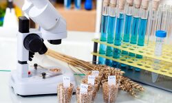 സംസ്ഥാനത്ത് കൂടുതല് ഭക്ഷ്യസുരക്ഷാലാബുകള്: പരിശോധനകൾ കർശനമായി തുടരുമെന്ന് ആരോഗ്യമന്ത്രി സംസ്ഥാനത്ത് കൂടുതല് ഭക്ഷ്യസുരക്ഷാലാബുകള്: പരിശോധനകൾ കർശനമായി തുടരുമെന്ന് ആരോഗ്യമന്ത്രി