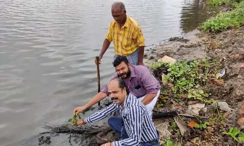 കണ്ടല്‍കാടൊരുക്കാം ഭൂമിക്കൊരു കൂടൊരുക്കാം പദ്ധതിക്ക് വെള്ളാങ്കല്ലൂര്‍ ഗ്രാമപ്പഞ്ചായത്തില്‍ തുടക്കമായി