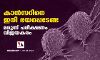 കാന്‍സറിനെ ഇനി ഭയപ്പെടേണ്ട;മരുന്ന് പരീക്ഷണം വിജയകരം