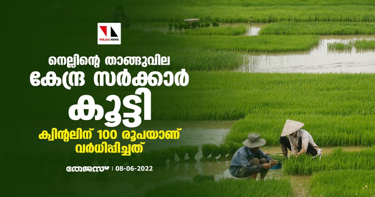 നെല്ലിന്റെ താങ്ങുവില കേന്ദ്ര സര്‍ക്കാര്‍ കൂട്ടി; ക്വിന്റലിന് 100 രൂപയാണ് വര്‍ധിപ്പിച്ചത്