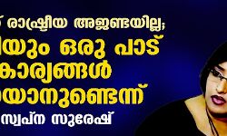 തനിക്ക് രാഷ്ട്രീയ അജണ്ടയില്ല; ഇനിയും ഒരു പാട് കാര്യങ്ങള്‍ പറയാനുണ്ടെന്ന് സ്വപ്‌ന സുരേഷ്