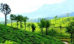 പരിസ്ഥിതിലോല മേഖല: കേരളം ഭേദഗതി ഹരജി സമർപ്പിക്കും പരിസ്ഥിതിലോല മേഖല: കേരളം ഭേദഗതി ഹരജി സമർപ്പിക്കും