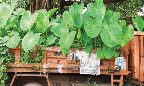 മാള: കേസില് കുടുങ്ങിയ വാഹനങ്ങള് പൊതുസ്ഥലത്ത് കൂട്ടിയിടുന്നത് ശല്യമാവുന്നുവെന്ന് നാട്ടുകാര്ക്ക് പരാതി മാള: കേസില് കുടുങ്ങിയ വാഹനങ്ങള് പൊതുസ്ഥലത്ത് കൂട്ടിയിടുന്നത് ശല്യമാവുന്നുവെന്ന് നാട്ടുകാര്ക്ക് പരാതി