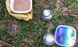 കണ്ണൂരില്‍ രണ്ട് സ്റ്റീല്‍ ബോംബുകള്‍ കണ്ടെത്തി; ബോംബ് സ്‌ക്വാഡെത്തി നിര്‍വീര്യമാക്കി