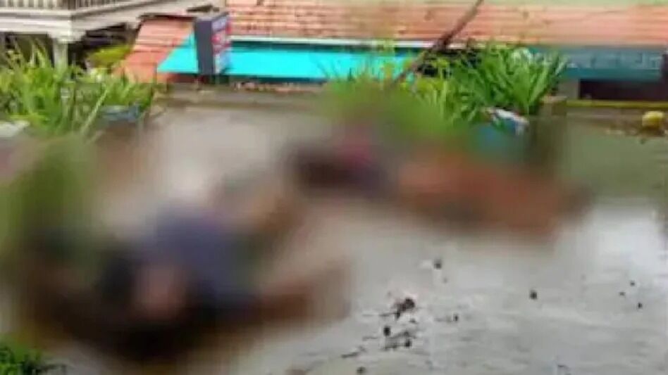 തേങ്ങയിടുന്നതിനിടെ തോട്ടി വൈദ്യുതി ലൈനിൽ തട്ടി; ഷോക്കേറ്റ് അച്ഛനും മകനും മരിച്ചു തേങ്ങയിടുന്നതിനിടെ തോട്ടി വൈദ്യുതി ലൈനിൽ തട്ടി; ഷോക്കേറ്റ് അച്ഛനും മകനും മരിച്ചു