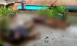 തേങ്ങയിടുന്നതിനിടെ തോട്ടി വൈദ്യുതി ലൈനിൽ തട്ടി; ഷോക്കേറ്റ് അച്ഛനും മകനും മരിച്ചു