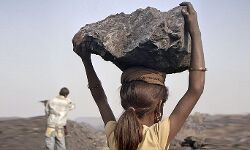 ബാലവേല; വിവരം നൽകുന്ന വ്യക്തിക്ക് 2,500 രൂപ പാരിതോഷികം