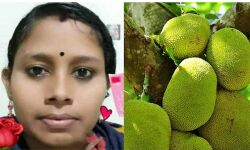 ചക്ക അടര്ത്തുന്നതിനിടെ തലയില് വീണ് വീട്ടമ്മ മരിച്ചു ചക്ക അടര്ത്തുന്നതിനിടെ തലയില് വീണ് വീട്ടമ്മ മരിച്ചു