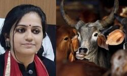 യുപിയില് ജില്ലാ മജിസ്ട്രേറ്റിന്റെ പശുവിനെ പരിചരിക്കാന് 7 സര്ക്കാര് ഡോക്ടര്മാര്; ഉത്തരവുമായി ചീഫ് വെറ്ററിനറി ഓഫിസര് യുപിയില് ജില്ലാ മജിസ്ട്രേറ്റിന്റെ പശുവിനെ പരിചരിക്കാന് 7 സര്ക്കാര് ഡോക്ടര്മാര്; ഉത്തരവുമായി ചീഫ് വെറ്ററിനറി ഓഫിസര്