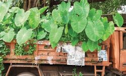 เดคเตเดถเตเดฐเตโ เดเดฟเดฒเตเดฒเดฏเดฟเดฒเต เดชเตเดฒเดฟเดธเต เดธเตโเดฑเตเดฑเตเดทเดจเตเดเดณเดฟเดฒเตโ เดชเดฟเดเดฟเดเตเดเดฟเดเตเดเต เดเดพเดเตเดเดฏเดฑเดฟ เดฎเดฃเตเดฃเดเดฟเดฏเตเดจเตเดจ เดตเดพเดนเดจเดเตเดเดณเตโ เดถเดฒเตเดฏเดฎเดพเดฏเดฟ เดฎเดพเดฑเตเดจเตเดจเต เดคเตเดถเตเดฐเตโ เดเดฟเดฒเตเดฒเดฏเดฟเดฒเต เดชเตเดฒเดฟเดธเต เดธเตโเดฑเตเดฑเตเดทเดจเตเดเดณเดฟเดฒเตโ เดชเดฟเดเดฟเดเตเดเดฟเดเตเดเต เดเดพเดเตเดเดฏเดฑเดฟ เดฎเดฃเตเดฃเดเดฟเดฏเตเดจเตเดจ เดตเดพเดนเดจเดเตเดเดณเตโ เดถเดฒเตเดฏเดฎเดพเดฏเดฟ เดฎเดพเดฑเตเดจเตเดจเต