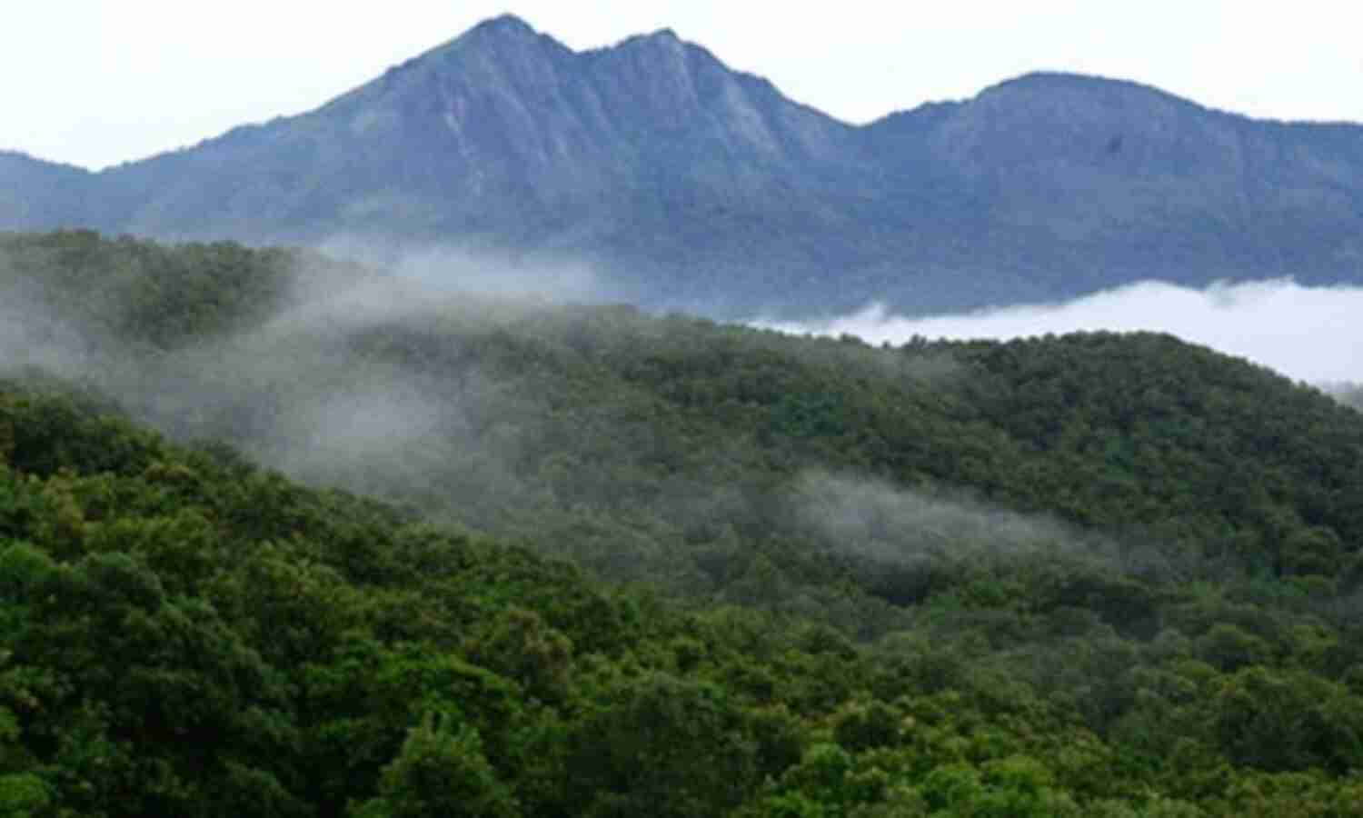 പരിസ്ഥിതി ലോല മേഖല; കോഴിക്കോട് മലയോര മേഖലകളില് ഇന്ന് എല്ഡിഎഫ് ഹര്ത്താല് പരിസ്ഥിതി ലോല മേഖല; കോഴിക്കോട് മലയോര മേഖലകളില് ഇന്ന് എല്ഡിഎഫ് ഹര്ത്താല്