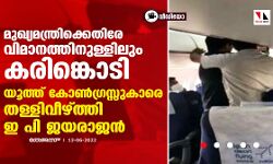 മുഖ്യമന്ത്രിക്കെതിരേ വിമാനത്തിനുള്ളിലും കരിങ്കൊടി; യൂത്ത് കോണ്‍ഗ്രസ്സുകാരെ തള്ളിവീഴ്ത്തി ഇ പി ജയരാജന്‍ (വീഡിയോ)