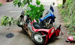 เดฎเดพเดณเดฏเดฟเดฒเตโ เดเดฐเตเดเดเตเดฐ เดตเดพเดนเดจเดเตเดเดณเตโ เดเตเดเตเดเดฟเดฏเดฟเดเดฟเดเตเดเต; เดฐเดฃเตเดเต เดชเตเดฐเตโเดเตเดเต เดชเดฐเดฟเดเตเดเต เดฎเดพเดณเดฏเดฟเดฒเตโ เดเดฐเตเดเดเตเดฐ เดตเดพเดนเดจเดเตเดเดณเตโ เดเตเดเตเดเดฟเดฏเดฟเดเดฟเดเตเดเต; เดฐเดฃเตเดเต เดชเตเดฐเตโเดเตเดเต เดชเดฐเดฟเดเตเดเต